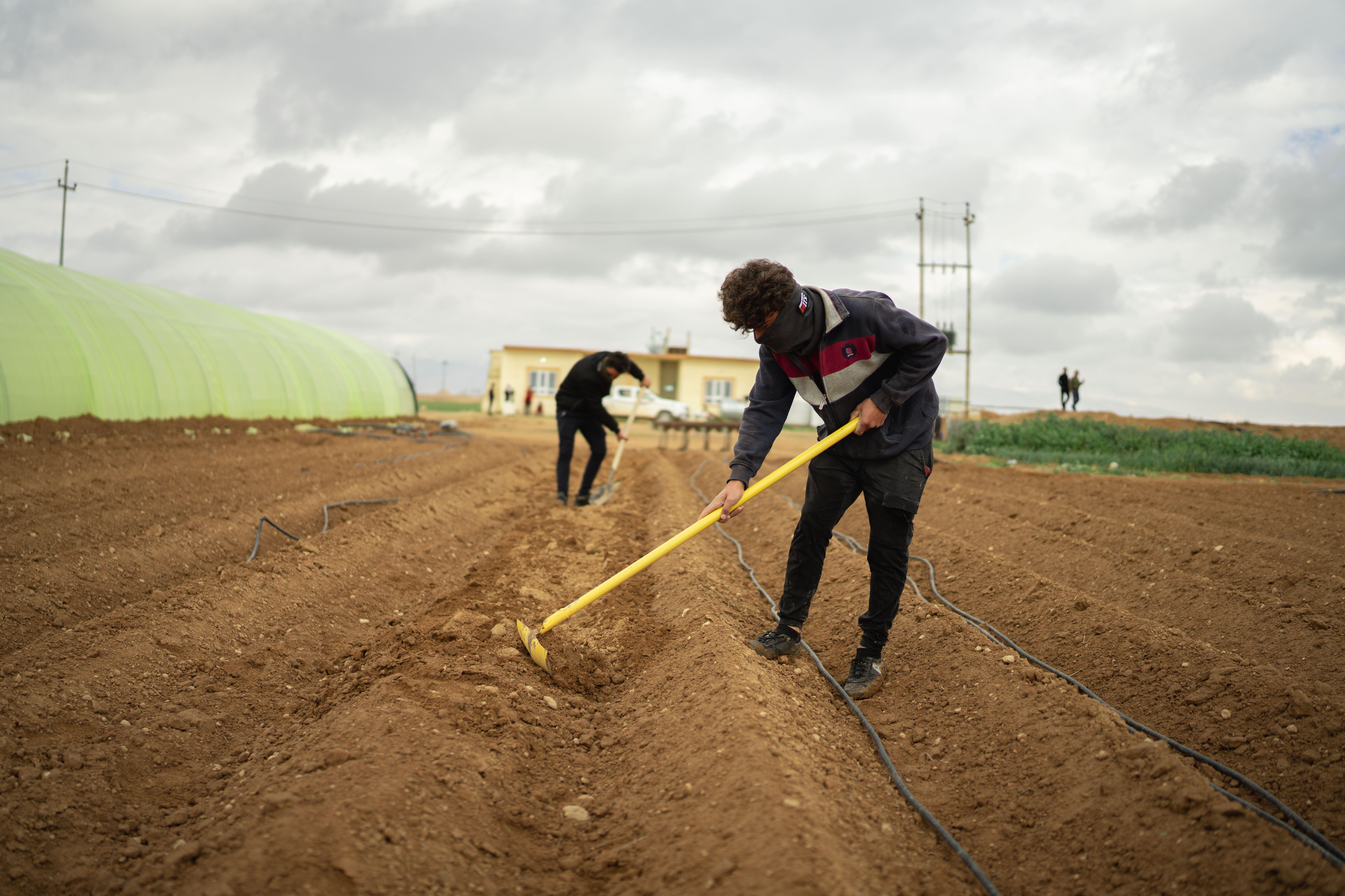  Returned Yezidi farmers cultivate their land to restart farming with support from IOM to rebuild their livelihoods.